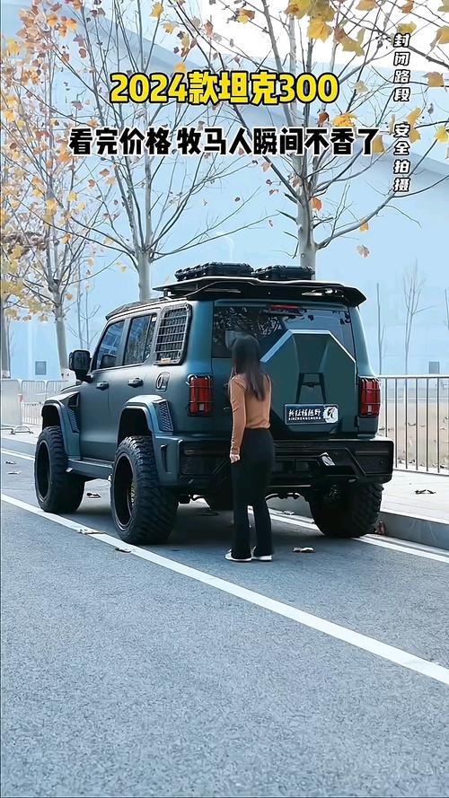 2024款坦途克300火星城市版,坦途克300价越野图片