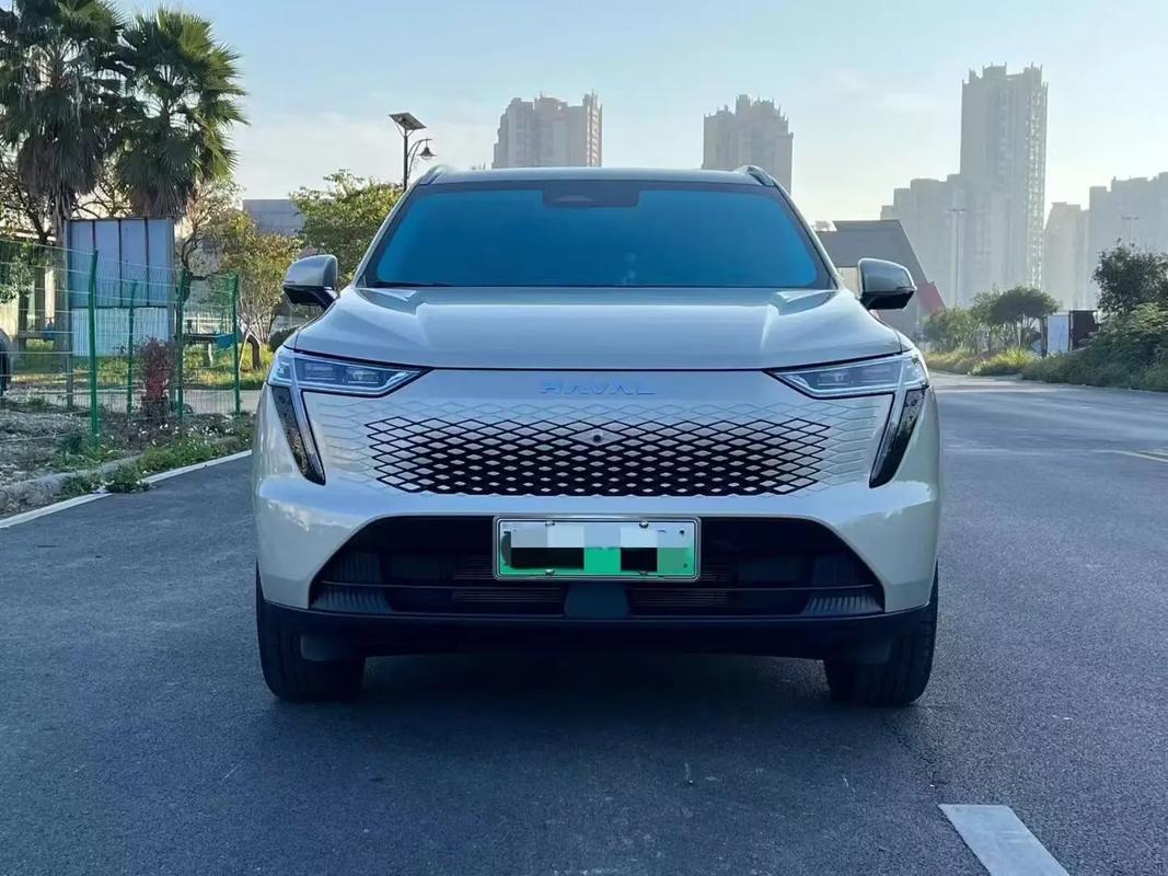 新能源汽车suv前十名／新能源suv汽车十大名牌